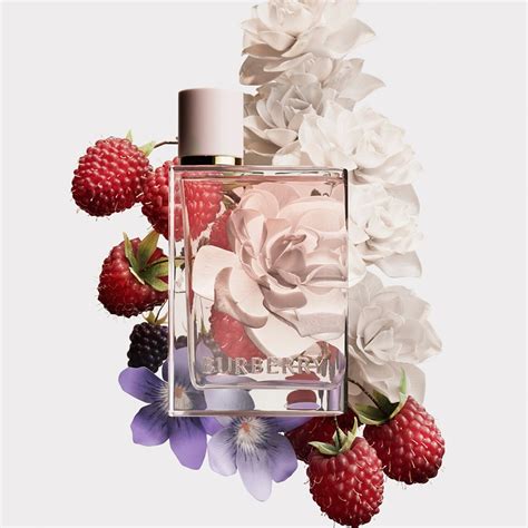 burberry zomerset|burberry her fragrance.